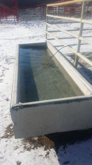 Concrete Water Troughs in Greensboro, North Carolina